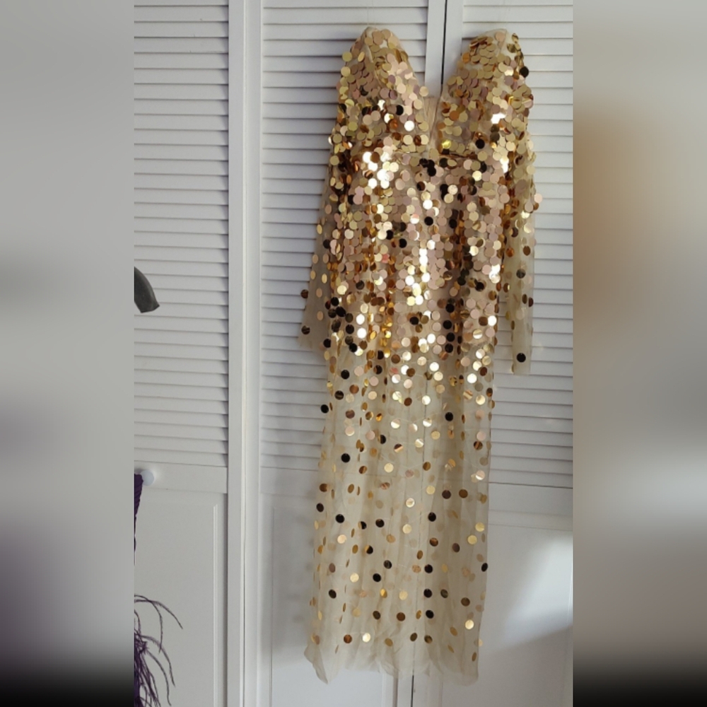 Sexy sheer metallic gown - Picture 3 of 16